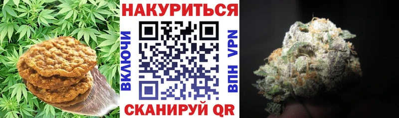 Canna-Cookies марихуана Нязепетровск