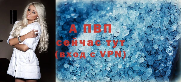 spice Дмитриев