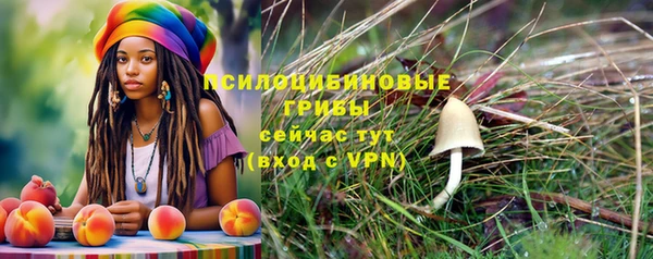 spice Дмитриев