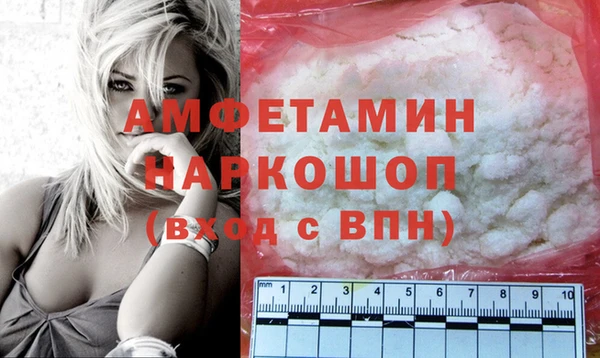 spice Дмитриев