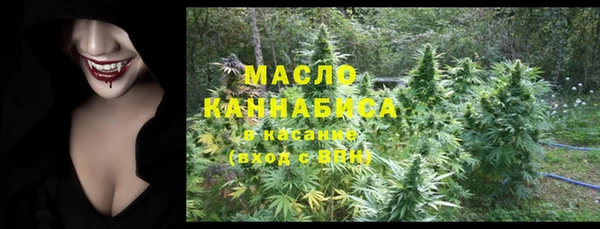 spice Дмитриев