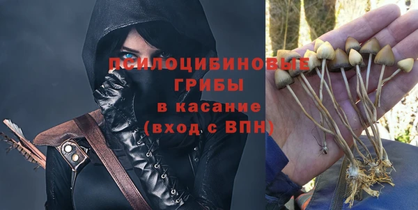 не бодяженный Дмитров