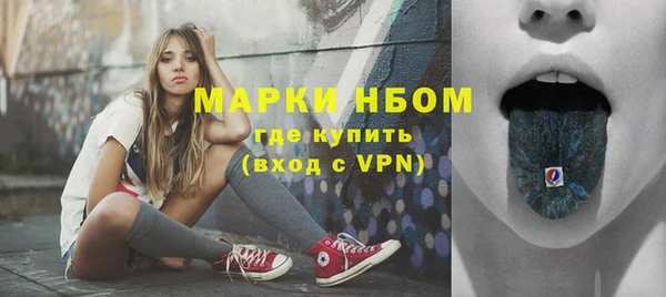 spice Дмитриев
